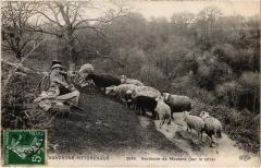 Auvergne Gardeuse de Moutons France