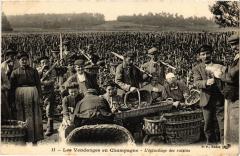 Vendange en Champagne Epulchage des raisins Folklore