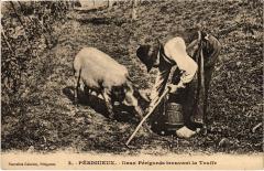Périgueux Chercher la truffe Folklore -
																					24000 Périgueux
																			