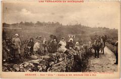 Vendange beaune Aux Cras Domaine de Mm. BOuchard Pere et Fils à Beaune