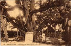 Villennes Le Sophora Restaurant