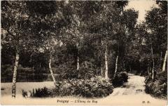 Poigny Etang du Roy