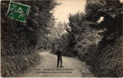 Chevreuse un chemin creux a Saint-Remy à Chevreuse