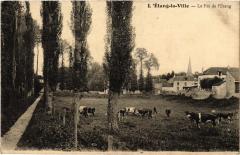 Etang la Ville le Pre de l'etang