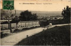 Flins panorama