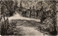 Carrieres Foret de Saint-Germain -
													78 Yvelines
												