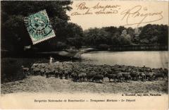 Rambouillet Troupeaux Merinos le depart à Rambouillet