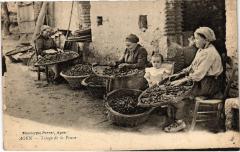 Agen Triage de la Prune Folklore
