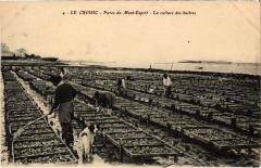 Le Croisic Parcs du Mont-Esprit Culture des huitres -
																					44490 Le Croisic
																			