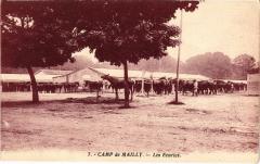 Mailly le Camp les ecuires à Mailly-le-Camp