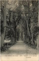 Droup Saint-Basle Avenue
