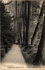 Nogent Promenade de l'Ile Olive