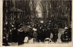 Le Mans allee centrale des Jacobins au Mans