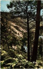 St Leonard versant du Haut Fourche