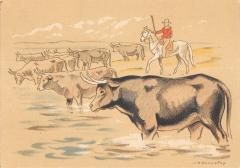 Croquis Regionaux - Cpa Illustrateur - Une Manade Au Bord Du Rhone