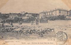 Bandol - Environs Du Grand Hotel Des Bains -
																					83150 Bandol
																			