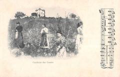 Cueillette Des Cassies - Cote D'Azur