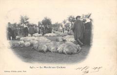 Nice - Le Marche Aux Cochons à Nice