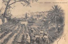 Grasse - Cueillette Des Jasmins -
																					06520 Grasse
																			
