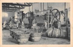 Le Vengangeoir De La Maison A Bouzy - Moet Et Chandon - Champagne à Bouzy