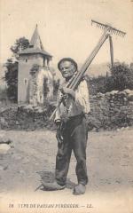Type De Paysan Pyreneen