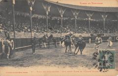 Toros En Toulouse - Plaza Des Amidonniers - Une Bonne Pique Du Picador -
																					31300 Toulouse
																			