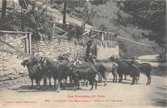 Luchon - Vallee D'Oueil - Retour Du Chevrier
