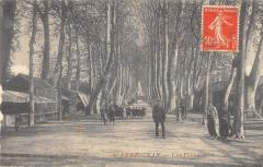 Perpignan - Les Platanes à Perpignan