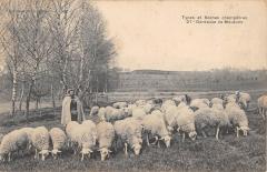 Types Et Scenes Champetres - Gardeuse De Moutons -
													19 Corrèze
												