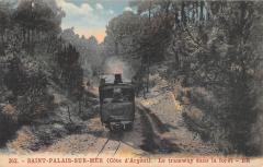 Saint Palais Sur Mer - Le Tramway Dans La Foret à Saint-Palais-sur-Mer