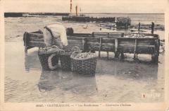 Chatelaillon - Les Boucholeurs - Reservoirs D'Huitres