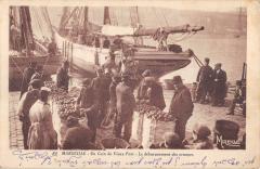 Marseille - Un Coin Du Vieux Port - Le Debarquement Des Oranges à Marseille