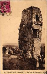 Montfort l'Amaury Tour du Chateau à Montfort-l'Amaury