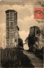 Montfort l'Amaury Ruines de Donjon à Montfort-l'Amaury