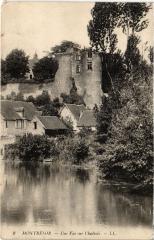 Montresor une vue sur l'Indrois