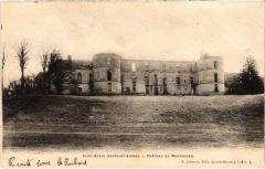 St Epain Chateau de Montgoger