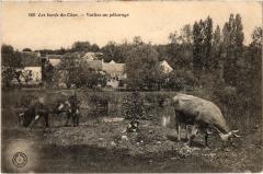 St Martin le Beau les bords du Cher