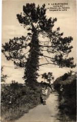 La Martiniere Chemin du Pellerin