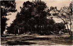Tharon Plage Rond Point de l'Avenue Foch