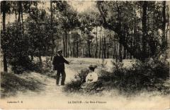La Baule Bois d'Amour -
													44 Loire Atlantique
												