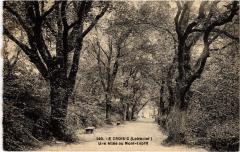 Le Croisic une allee au Mont Esprit -
																					44490 Le Croisic
																			