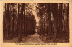 Parigne-l'Eveque Sanatorium - Allee sous Bois France