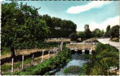 Mamers Les Bords de la Dive France à Mamers