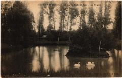 Chantenay Etang du Chatelet Beau France -
													72 Sarthe
												