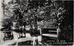 Etang du Bas - La Livaudiere France -
													72 Sarthe
												