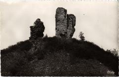 Saint-Leonard-des-Bois Ruines du Chateau Feodal France