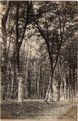 Mange Commune de Verneil par Mayet France -
																					72360 Verneil-le-Chétif
																			
