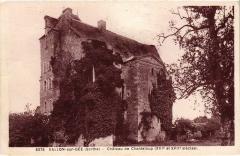 Vallon-sur-Gee Chateau de Chanteloup France