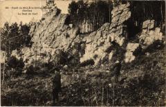 Foret de Sille-le-Guillaume - Le Saut du Cerf France -
													72 Sarthe
												