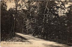 Foret de Vibraye - Un Sous Bois France à Vibraye